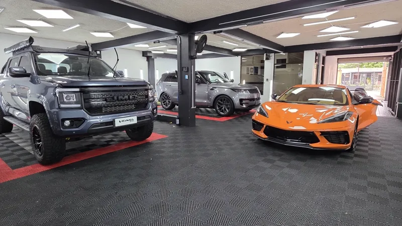 Detallado Profesional